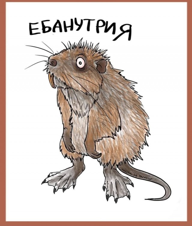 8 картинок животного мира