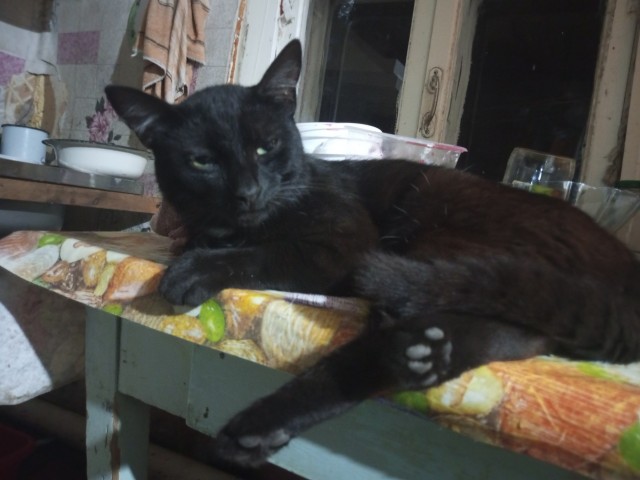 Его первый вторник