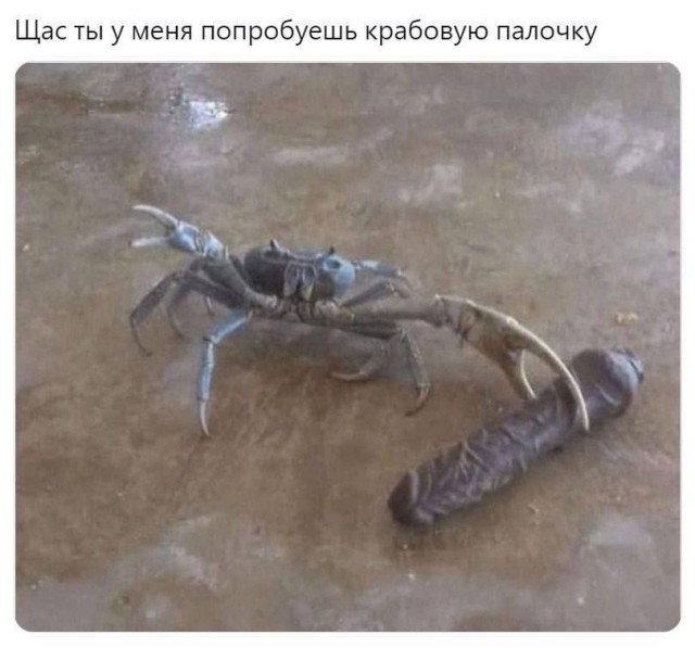 Миссия краб