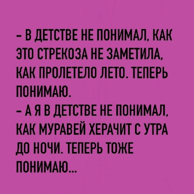 Так себе картинки 06.10.25