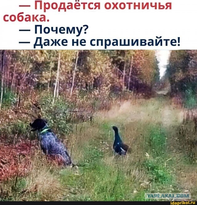 Продам.