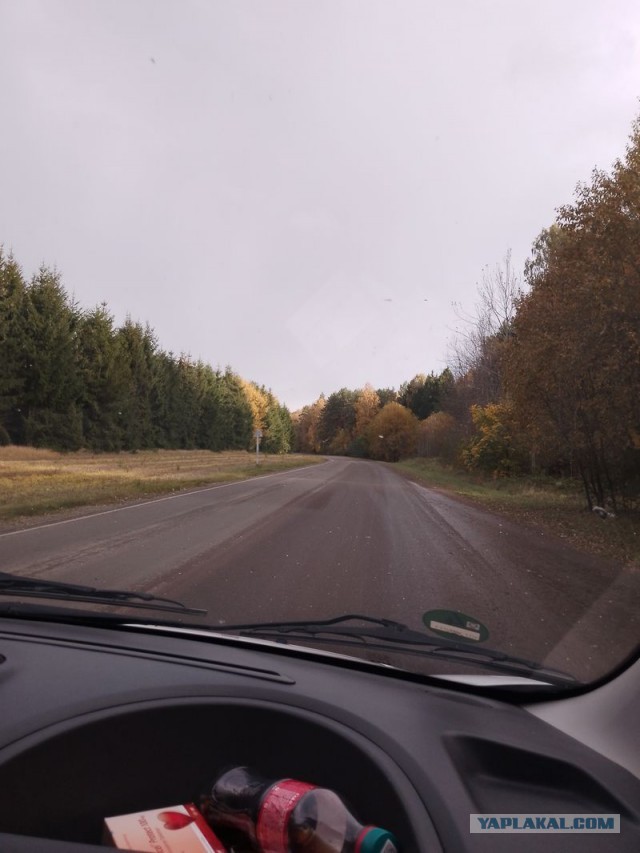 Жизнь домашнего приюта для котеек 561