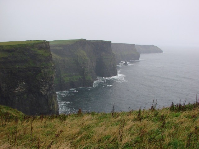 Beef on a cliff