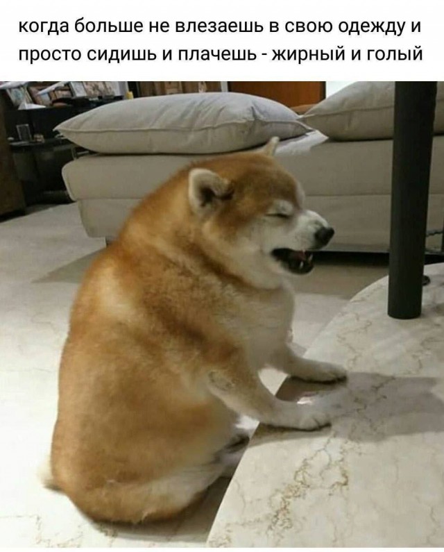 Чё тут делаете?