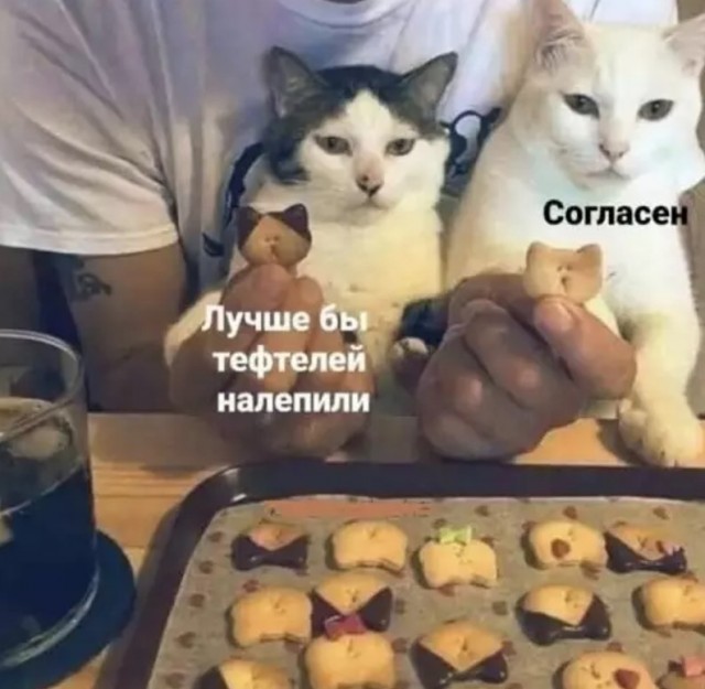 Картиночки, баянчики 21 апреля