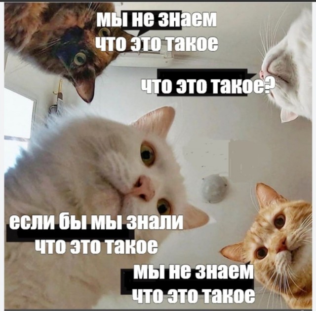 Что за выходная хрень?