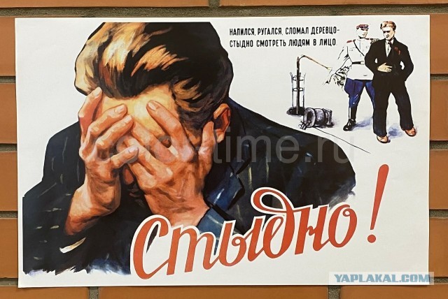 Свинья появилась и исчезла в telegram-канале Дмитрия Медведева