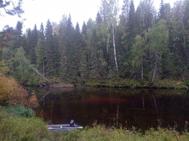 Соль.
