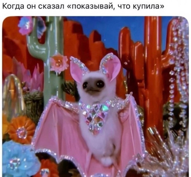 Веселые картинки в маленькую пятницу (05.08)