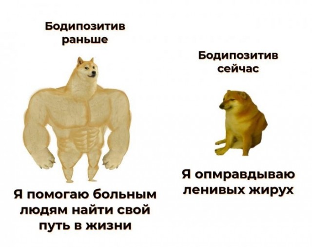Веселые картинки в пятницу (21.08)