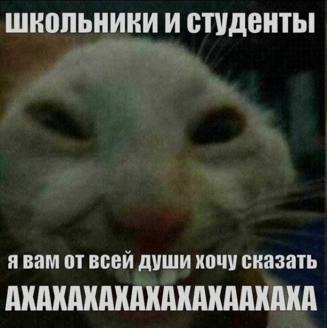 Картинки на среду
