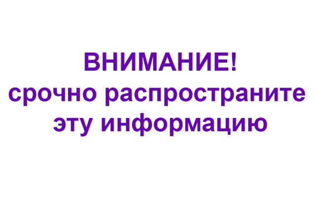 Отсутствие мозга, как составляющая счастья