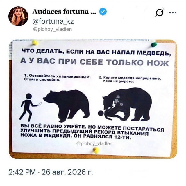 Картинки для деградации 277 (разной степени свежести)
