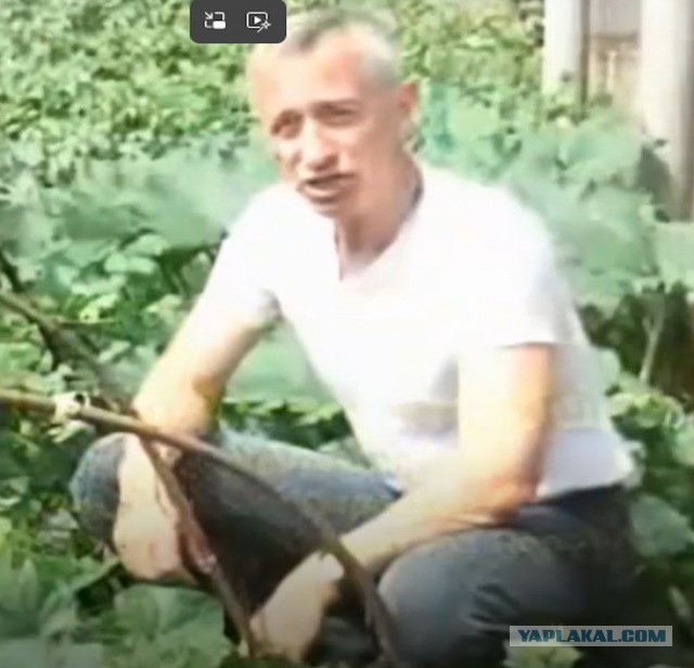 Классический урожай ЯПовца