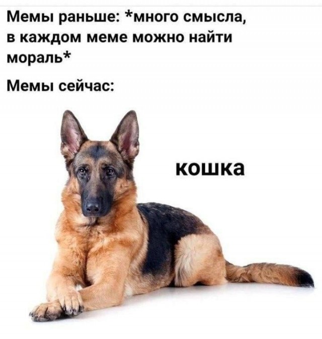 Картинки для деградации 308 (разной степени свежести)