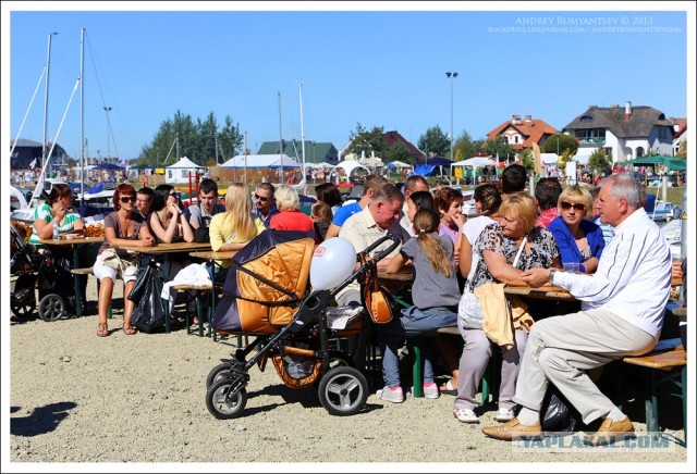 Международный чемпионат ухи 2013