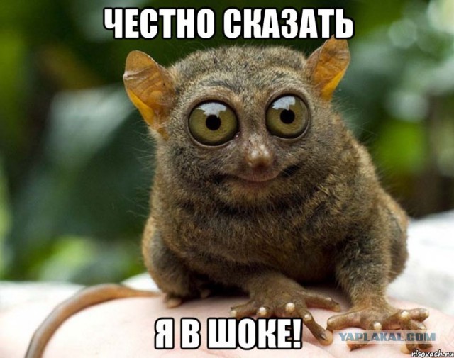 Чёрт, чёрт, чёрт!