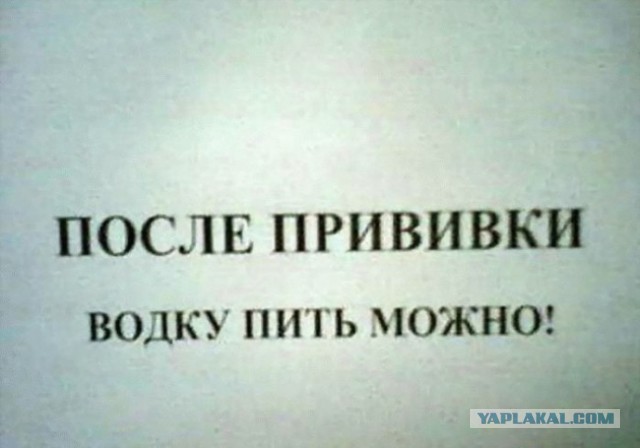 Смешные комментарии из соцсетей, картинки