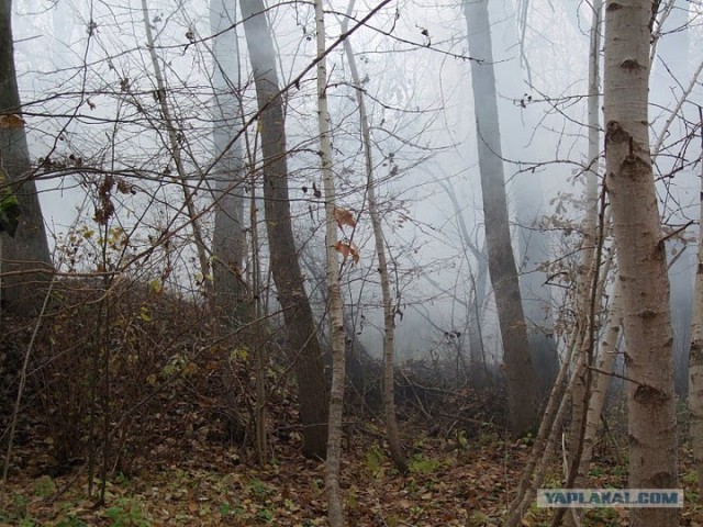 Айрсофт в лицах