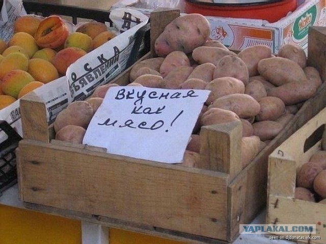 Весёлые картинки