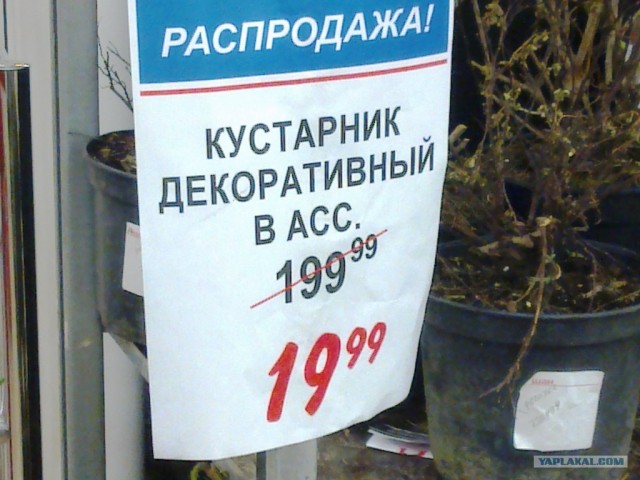 Прикольные фотки с мобильника