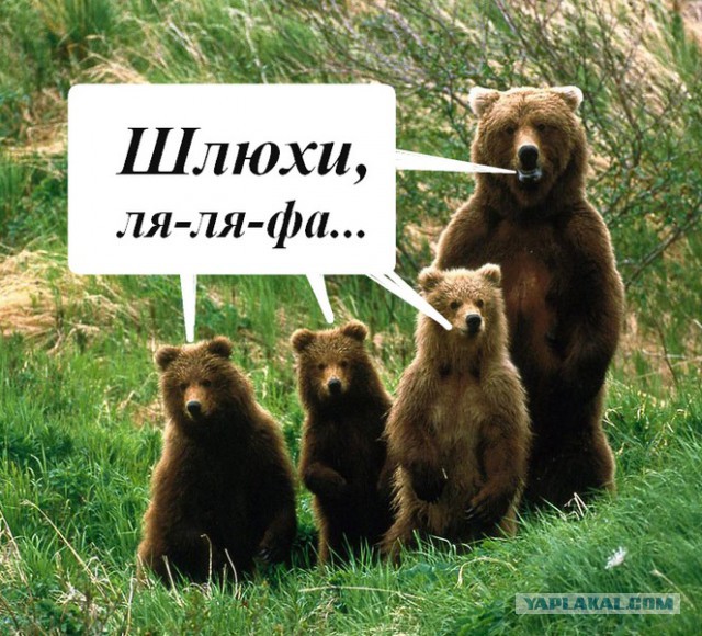 Почему бизнесмены будут сливать любовниц