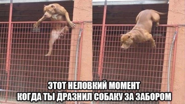 Командная работа: как втроем преодолеть стену