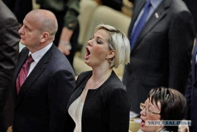 Кнопкодавы