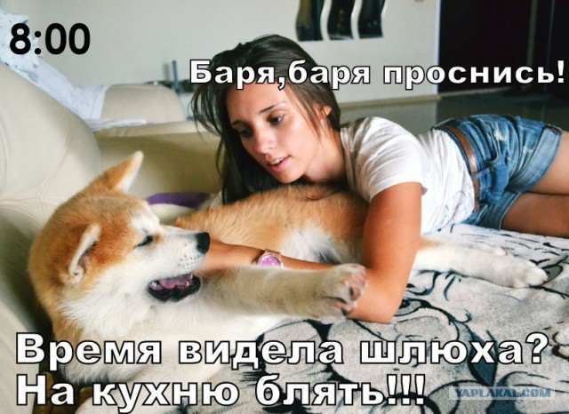 Нет ли тут противоречия?