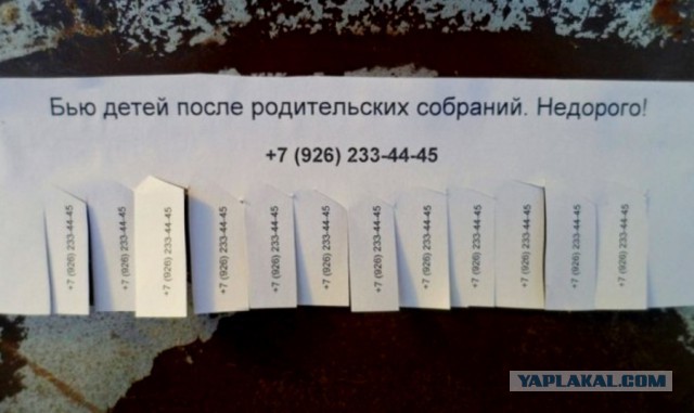 Прикольные картинки