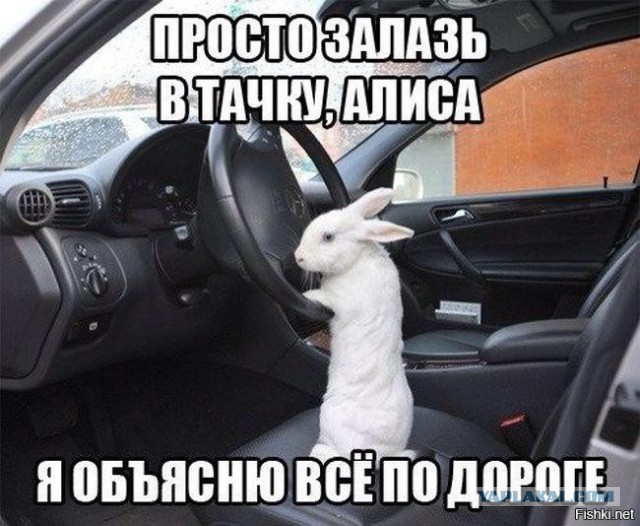 Картинки и гифки