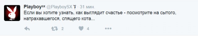 Смешные комментарии из социальных сетей.