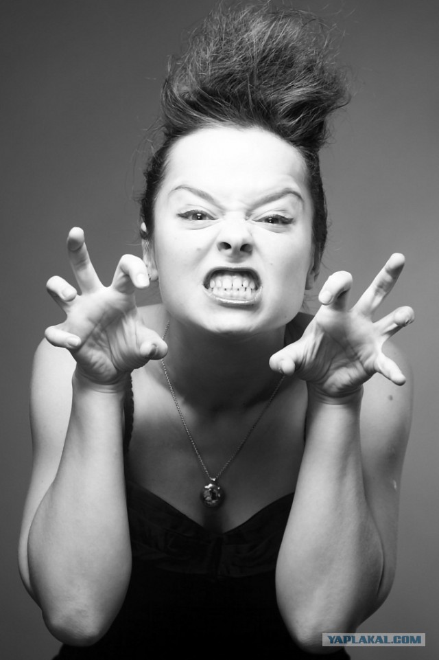 Они начинали в КВН