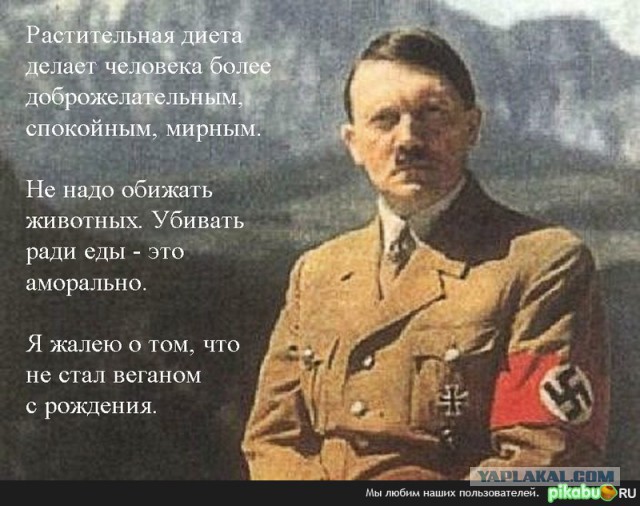 Веганы против мясоедов