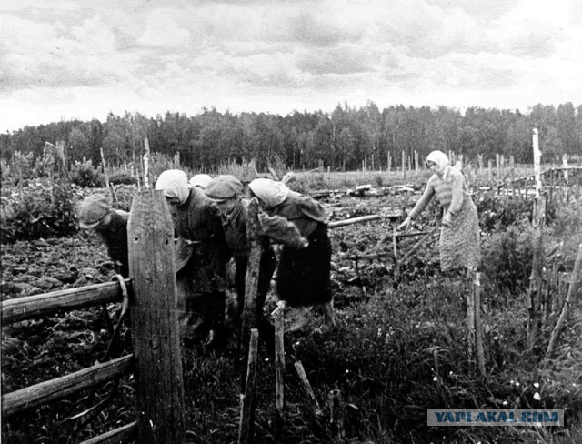 Один день в психиатрической клинике