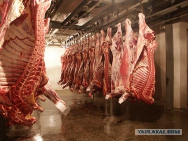 Стремились в ВТО теперь получаем.