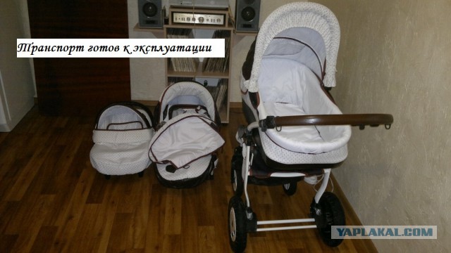 Два месяца сам дома