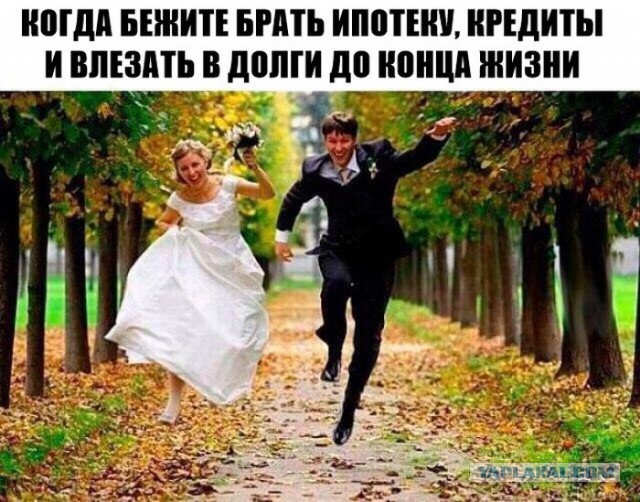 Адская свадьба - смесь понтов, жадности и дурости