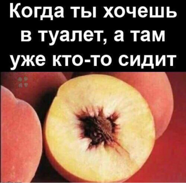 Приколы в картинках или прикольные картинки?