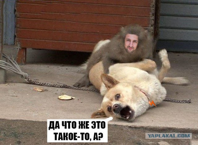 Топ 10 велозаводов нашего детства