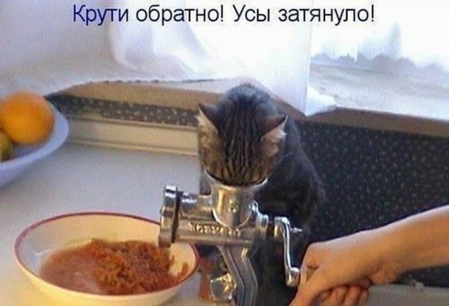 Подборка интересных и веселых картинок