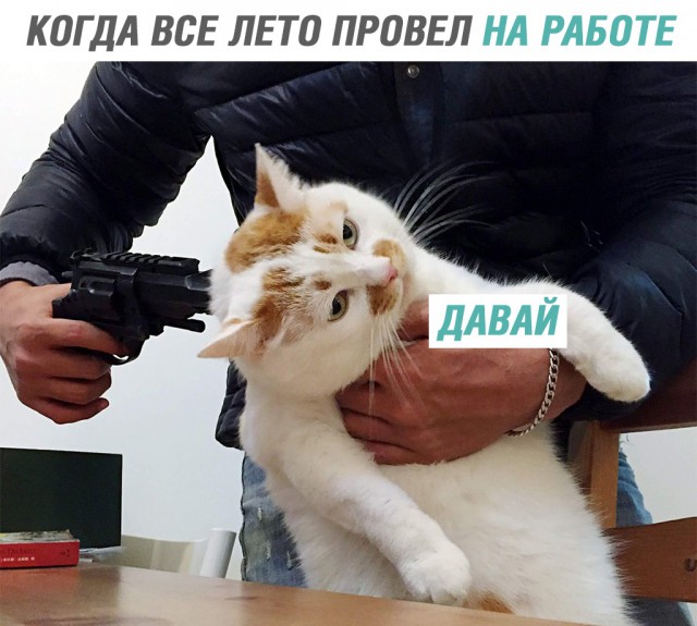 Немного картинок в эту среду