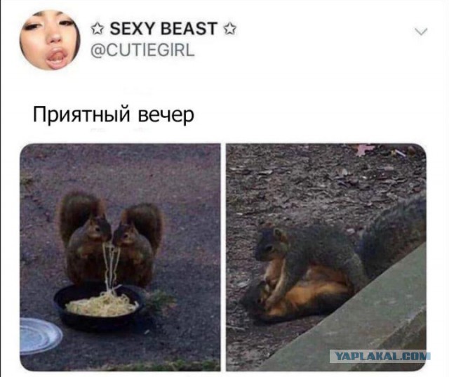 Очередные соцсети