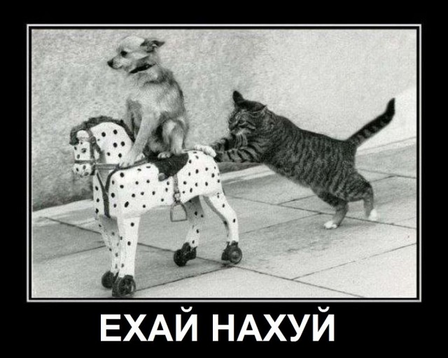 В Краснодаре водителю не понравилось, что военные его не пропустили и пошел выяснять отношения