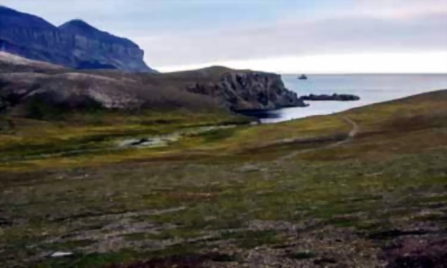 Страх и ненависть острова Медвежий