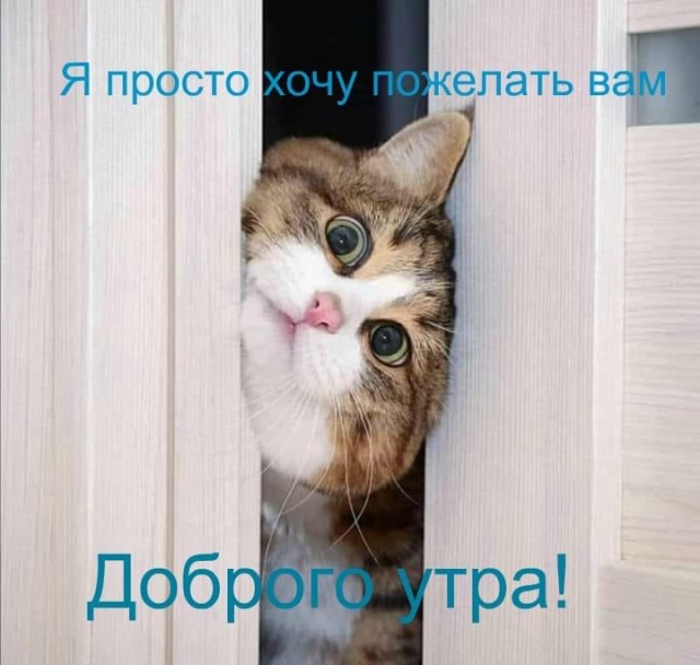 Картинки всякие, 27.08.2020