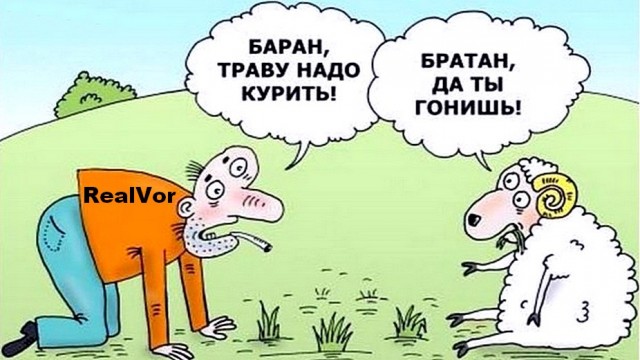 ЯПокатуры от tubdoc62