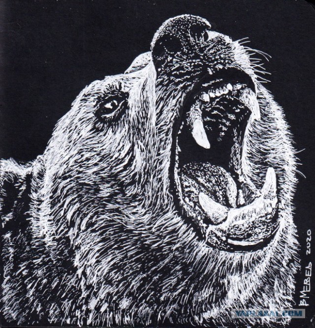 Белым по черному