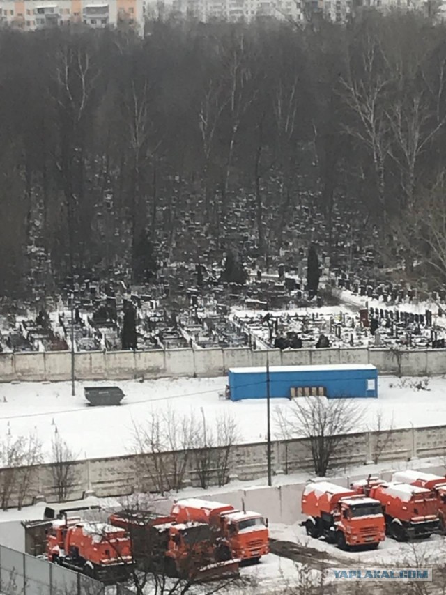 Тихие соседи