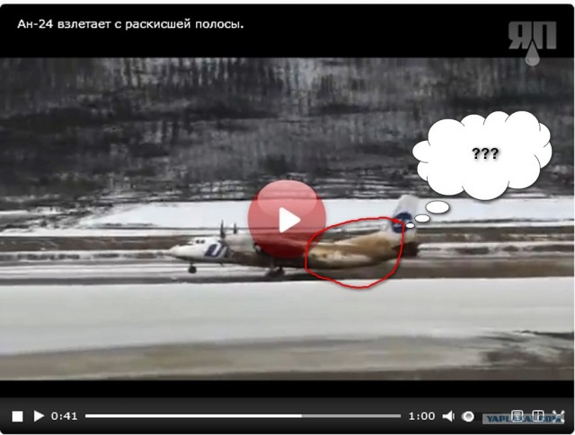 Ан-24 взлетает с раскисшей полосы